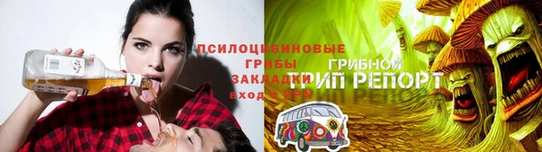 СК Елабуга