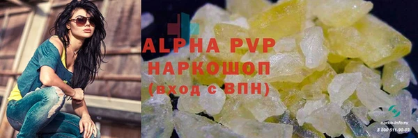 СК Елабуга