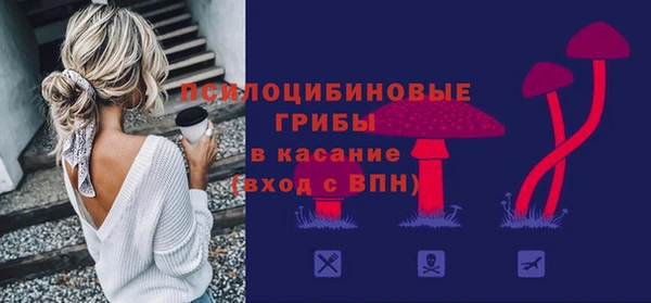 СК Елабуга