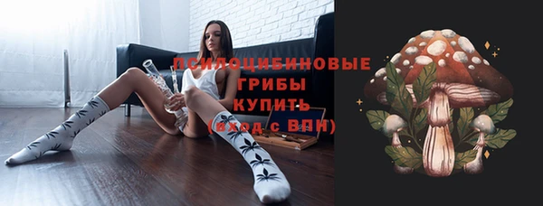СК Елабуга