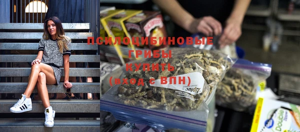 СК Елабуга