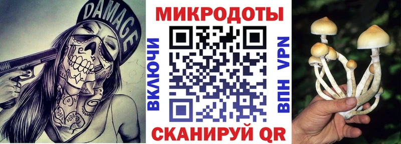 Купить закладки  Болхов  Псилоцибиновые грибы ЛСД 